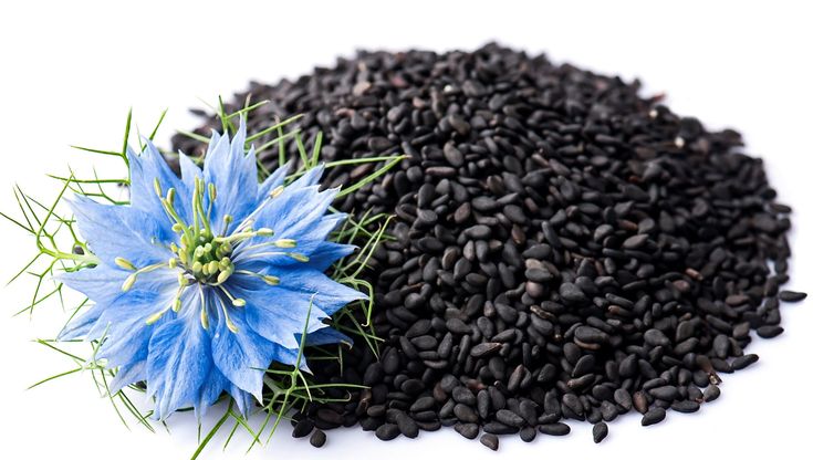 🌿 Holevia – 100% Natural Black Seed Massage Balm – 200g holeviakohl eyeliner 🌿 Holevia – 100% Natural Black Seed Massage Balm – 200g
