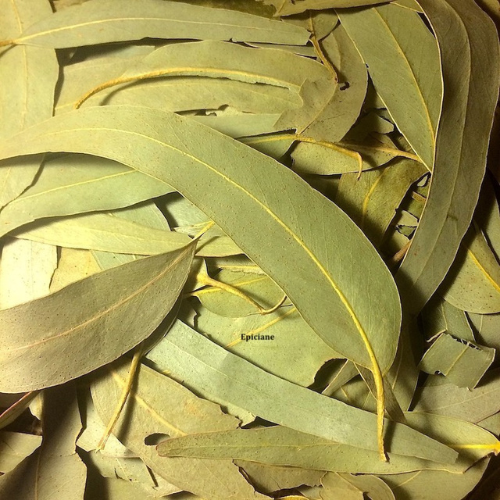 🌿 Eucalyptus Leaves (Kélysptus) – 100 g holevia : Natural cosmeticskohl eyeliner 🌿 Eucalyptus Leaves (Kélysptus) – 100 g